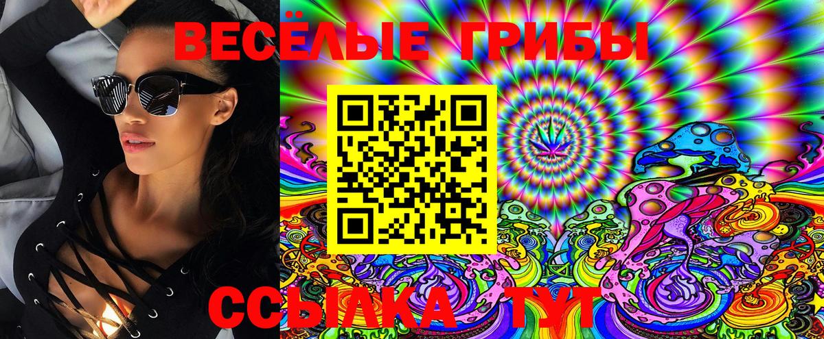 Псилоцибиновые грибы Cubensis  Галлюциногенные грибы прущие грибы  Вход с VPN  Мичуринск 