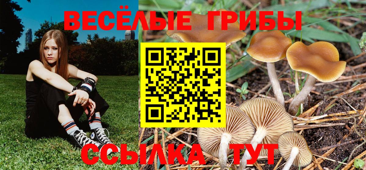 Галлюциногенные грибы MAGIC MUSHROOMS Мичуринск